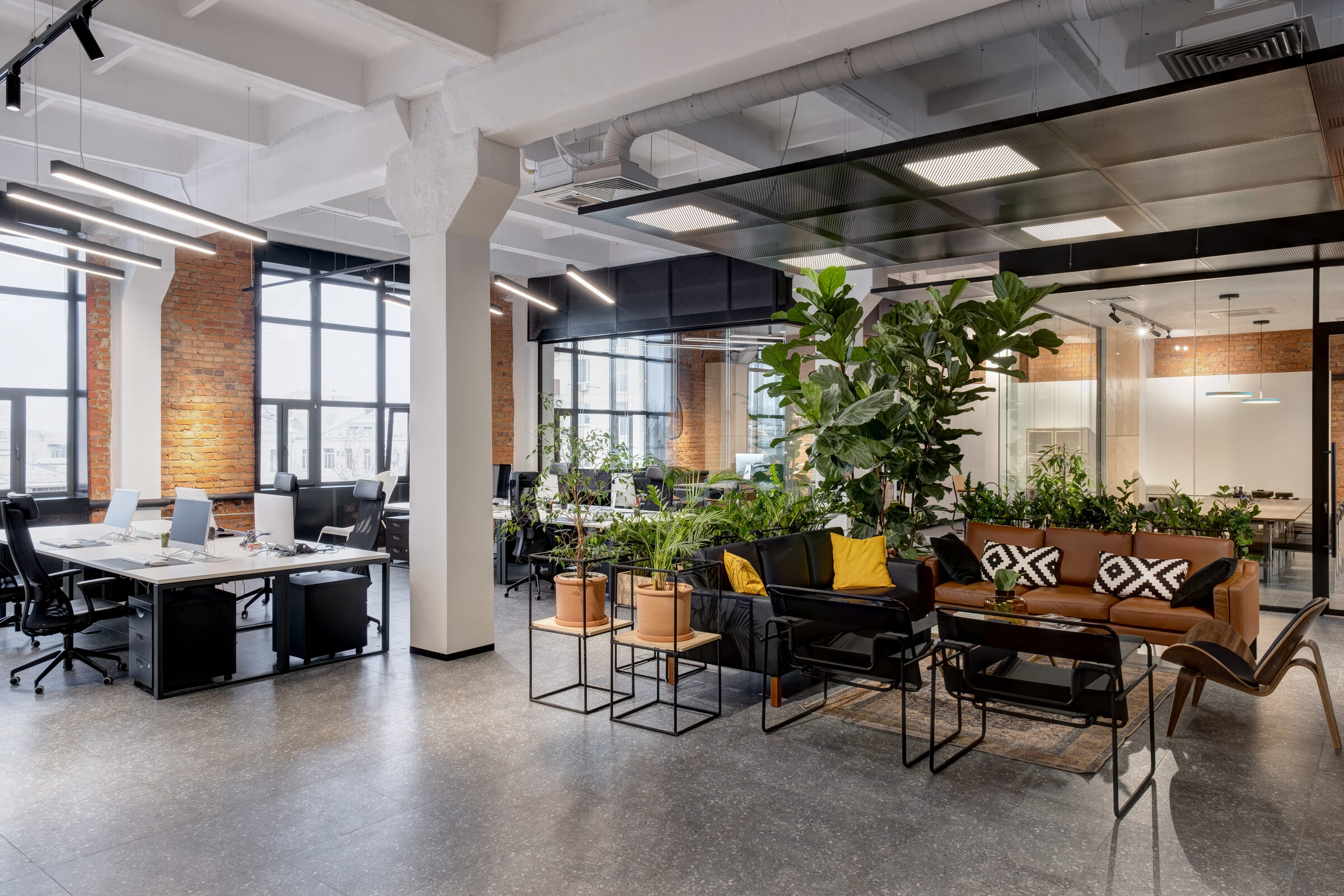 Commercial space documented in 3D